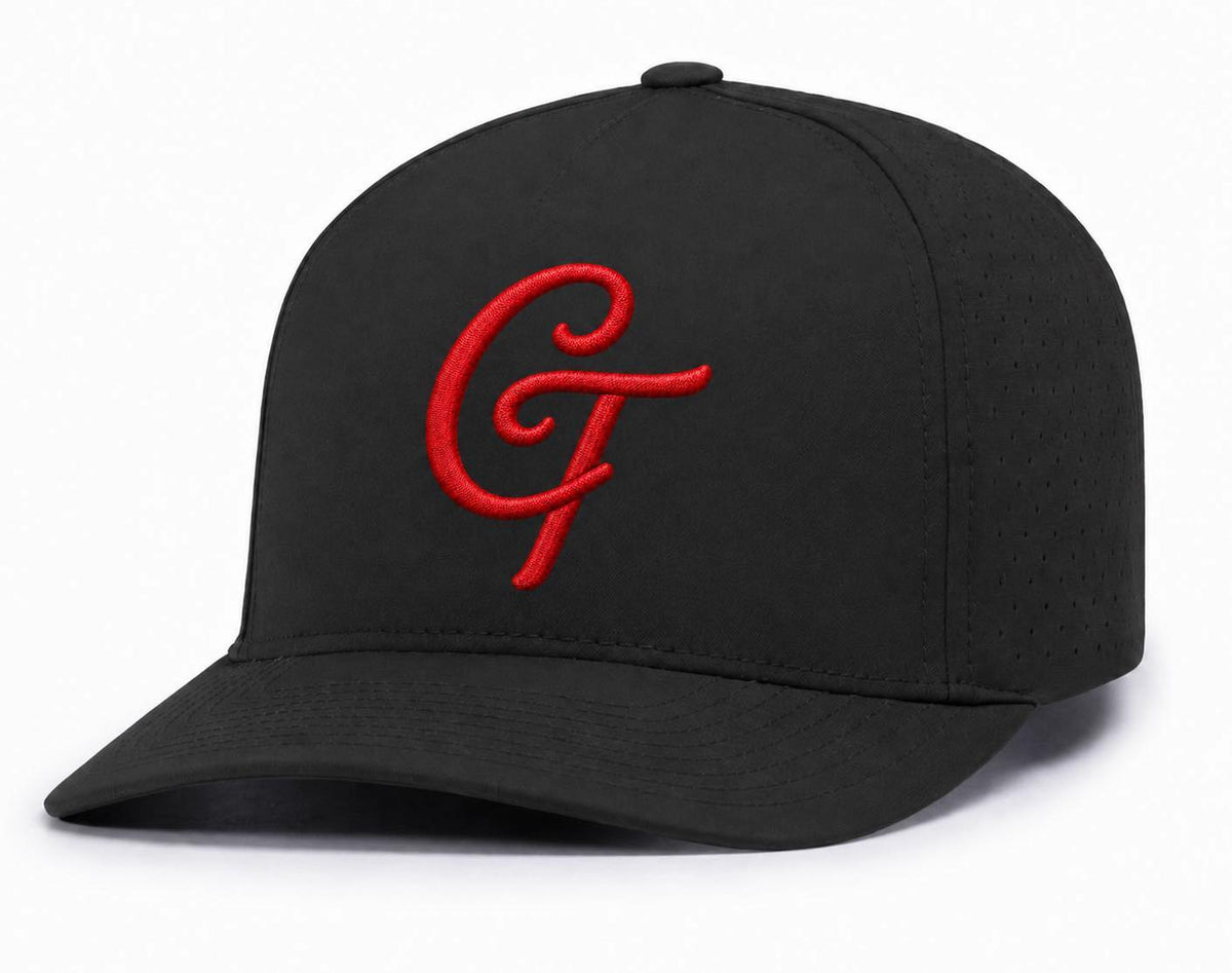 CT Perforated Snapback Cap